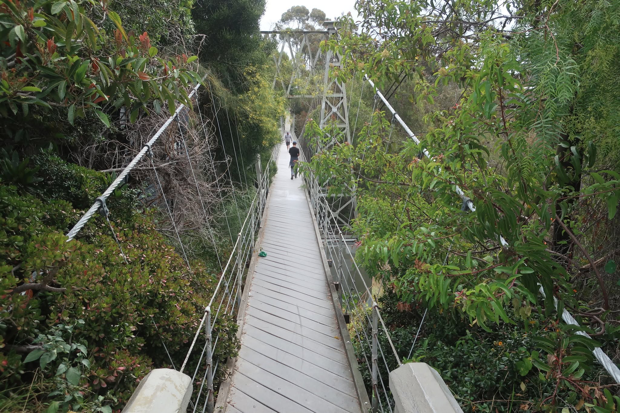 A Day Trip Worth the Drive: Moreno Valley to Balboa Park's Seven Bridges Walk — photo 4