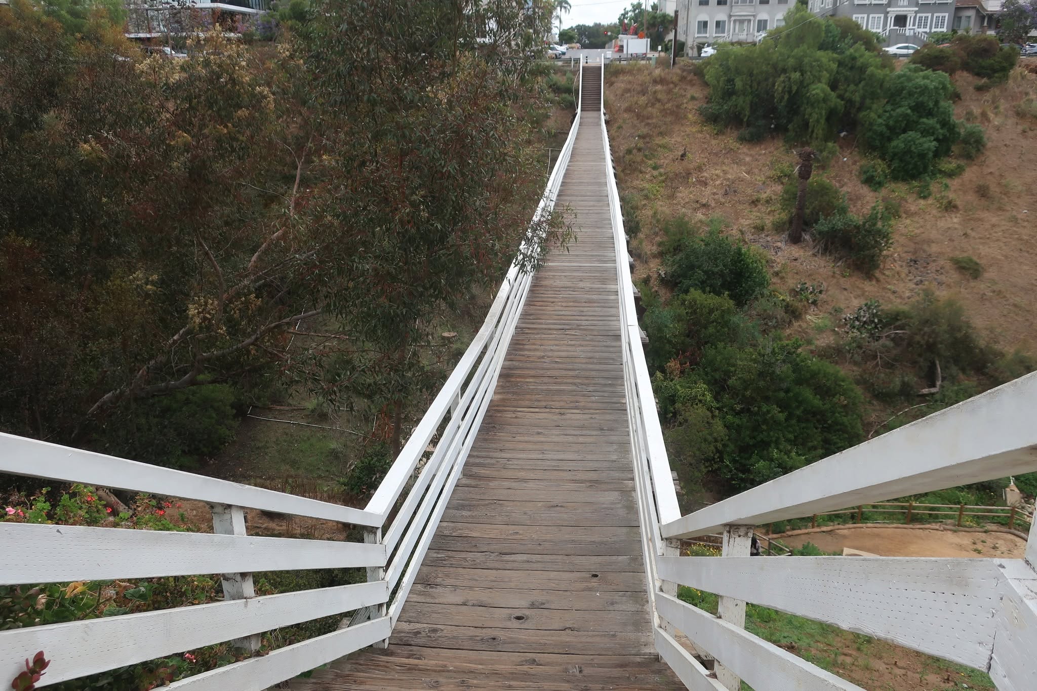 A Day Trip Worth the Drive: Moreno Valley to Balboa Park's Seven Bridges Walk — photo 6