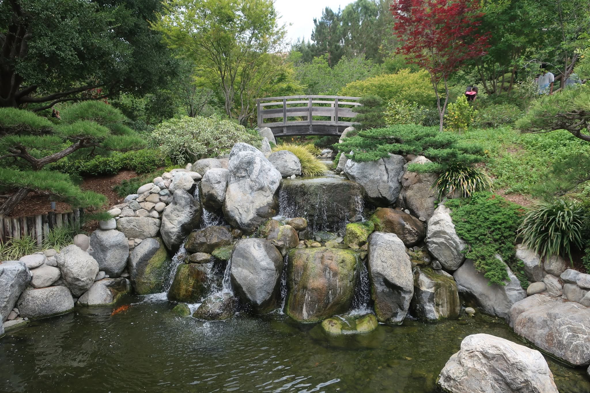 A Day Trip Worth the Drive: Moreno Valley to Balboa Park's Seven Bridges Walk — photo 15