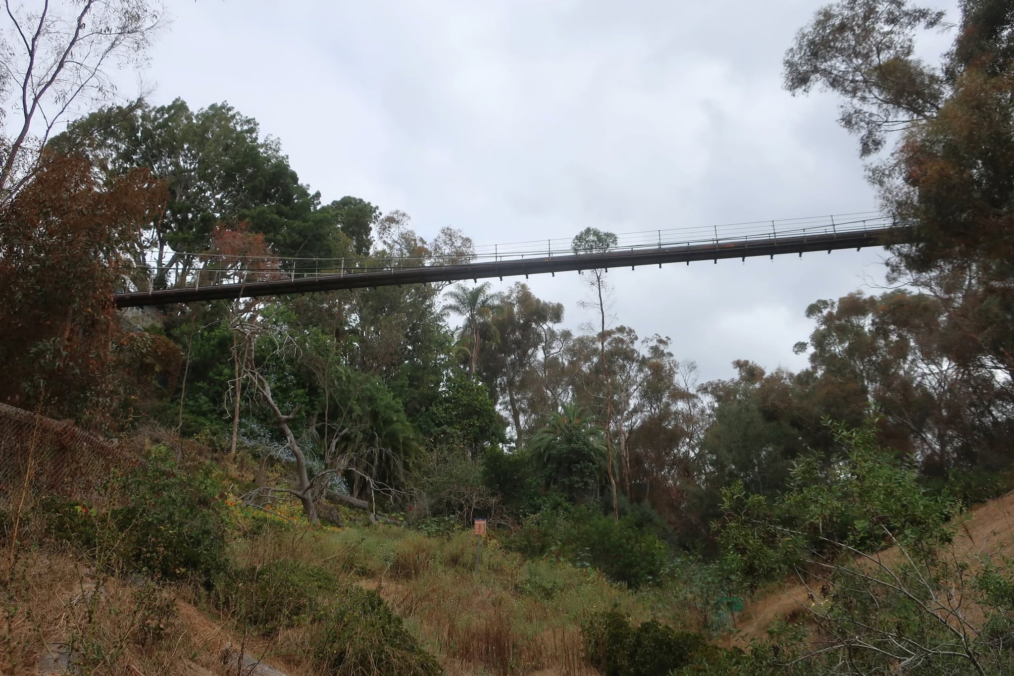 A Day Trip Worth the Drive: Moreno Valley to Balboa Park's Seven Bridges Walk — photo 8