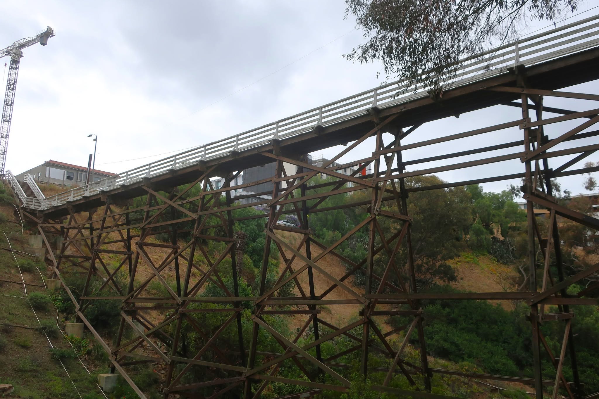 A Day Trip Worth the Drive: Moreno Valley to Balboa Park's Seven Bridges Walk — photo 11