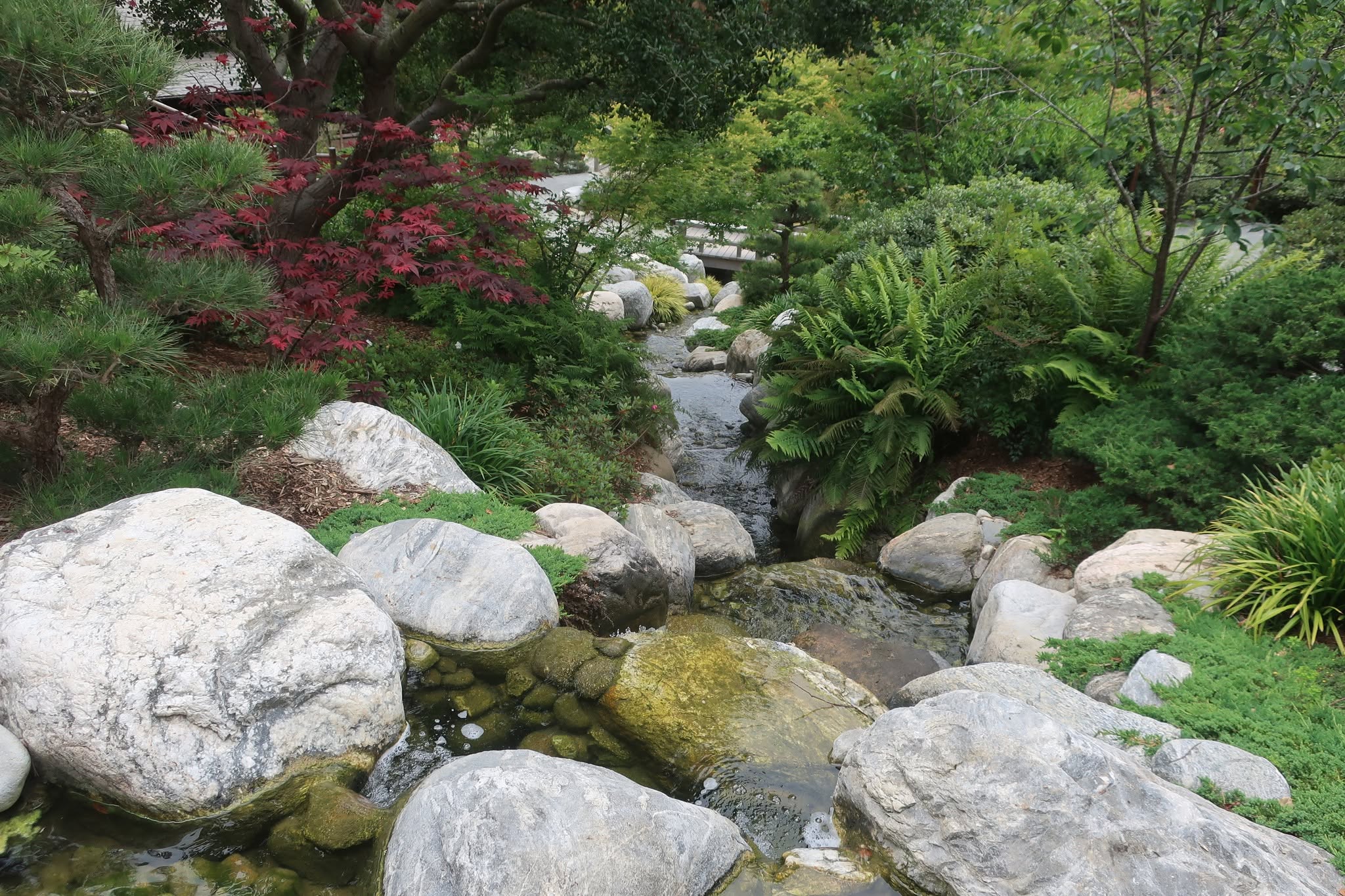 A Day Trip Worth the Drive: Moreno Valley to Balboa Park's Seven Bridges Walk — photo 16